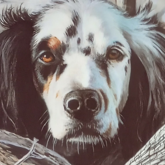 Unframed vintage limited edition print Getting Warm by Stephen Hammrick - Picture 4 of 6